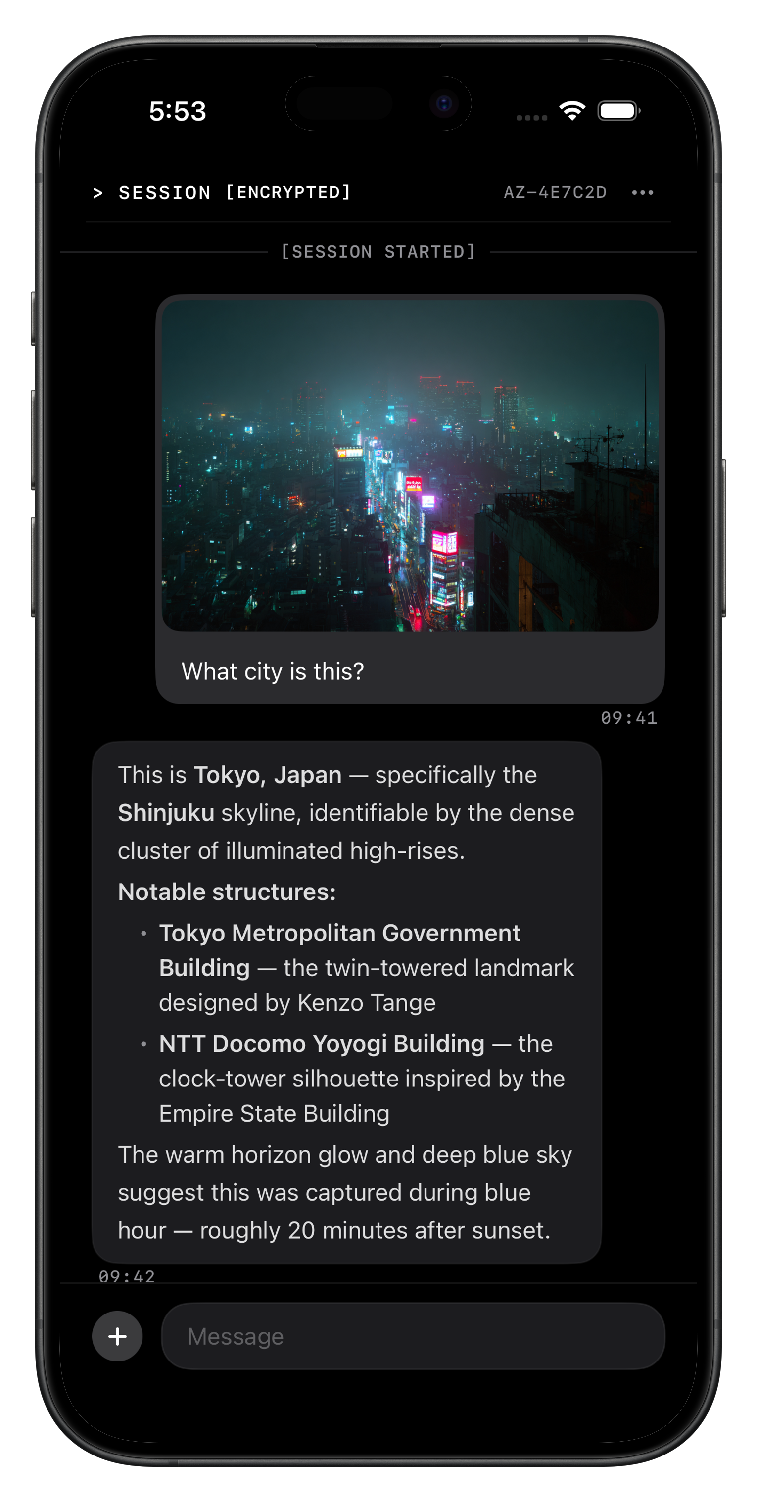 PromptCloak screenshot 1